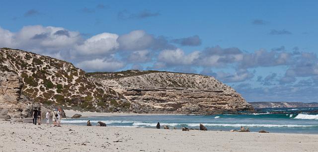 189 Kangaroo Island, seal bay conservation park.jpg